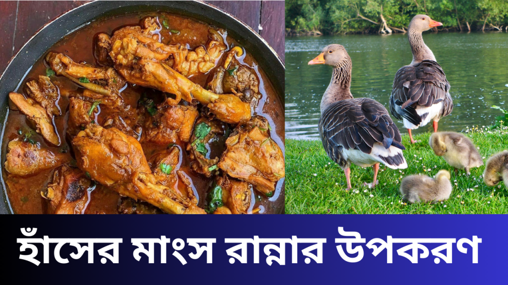 হাঁসের মাংস রান্নার উপকরণ