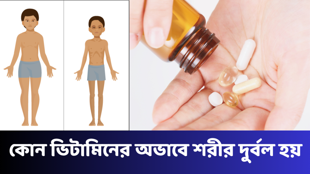 কোন ভিটামিনের অভাবে শরীর দুর্বল হয় — লক্ষণ, কারণ ও সমাধান কোন ভিটামিনের অভাবে শরীর দুর্বল হয়
