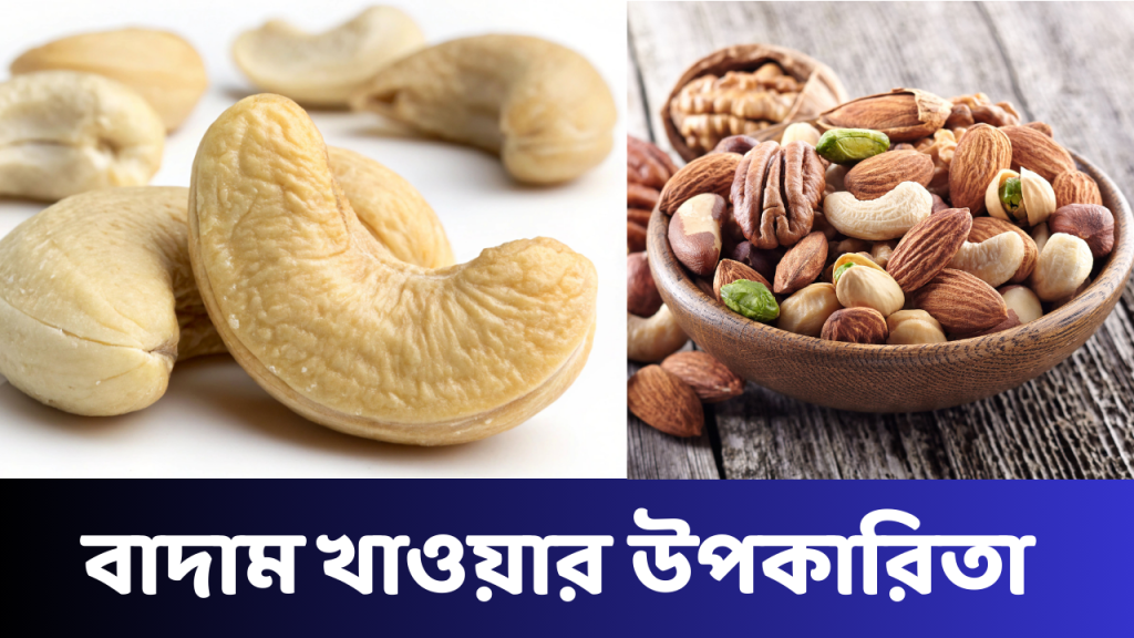 বাদাম খাওয়ার উপকারিতা: সুস্থ থাকতে কাঠ, কাজু ও চিনা বাদামের জাদুকরী গুণ